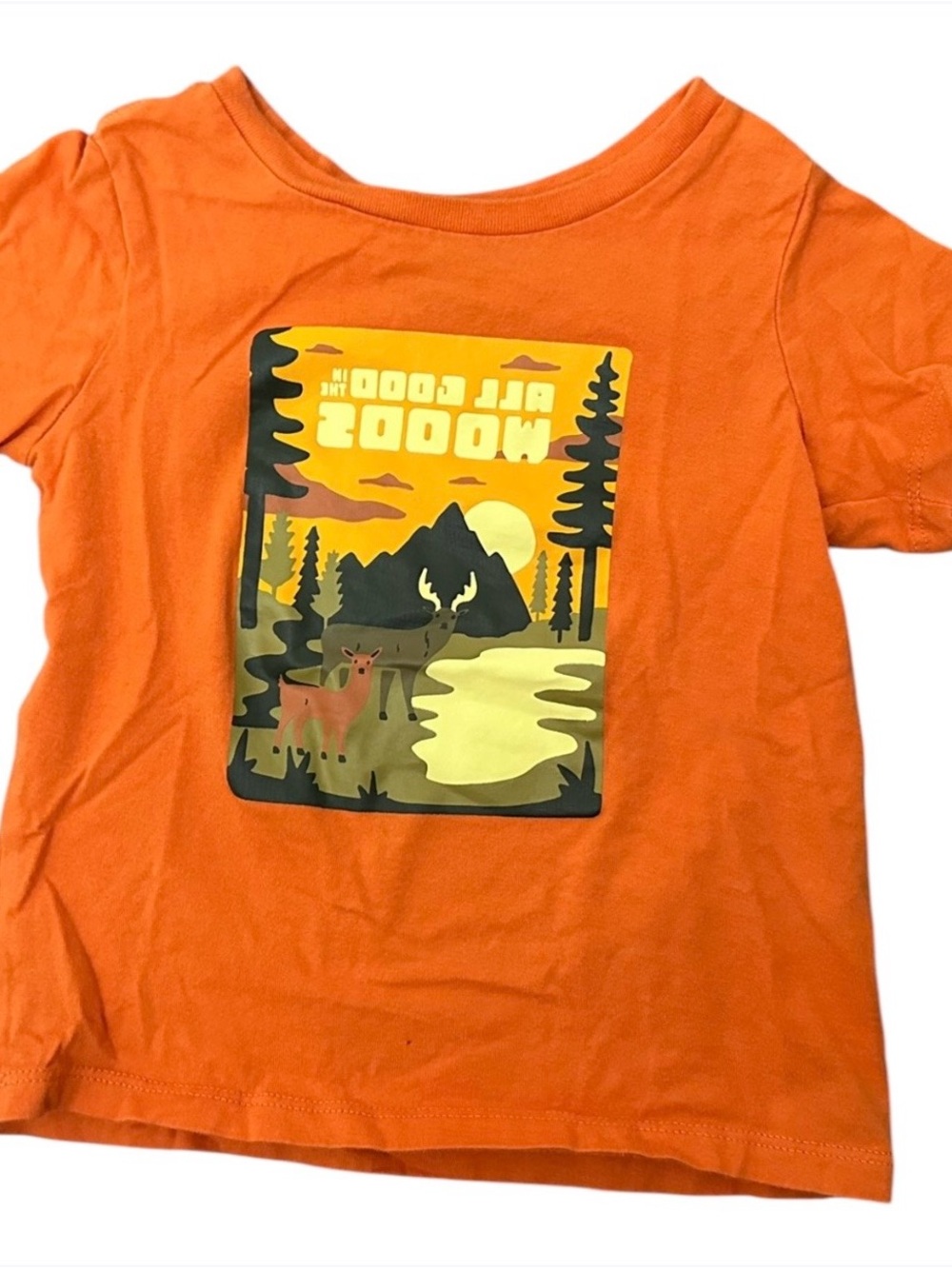 Orange Woods Wildlife Graphic Organic Cotton Tee 2T